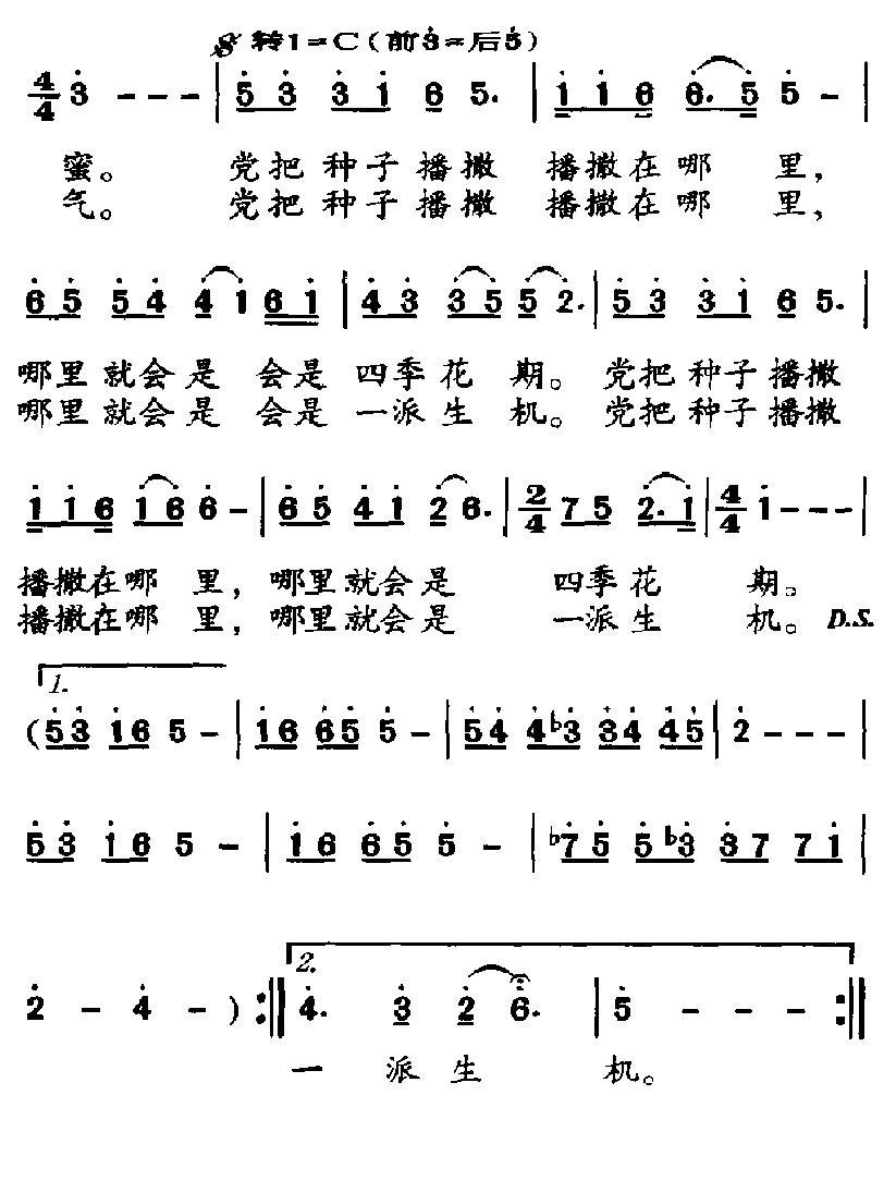 种子歌唱歌谱歌词图片